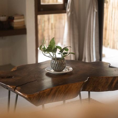 Big Tree Boutique Hotel Koh Tao Exteriör bild