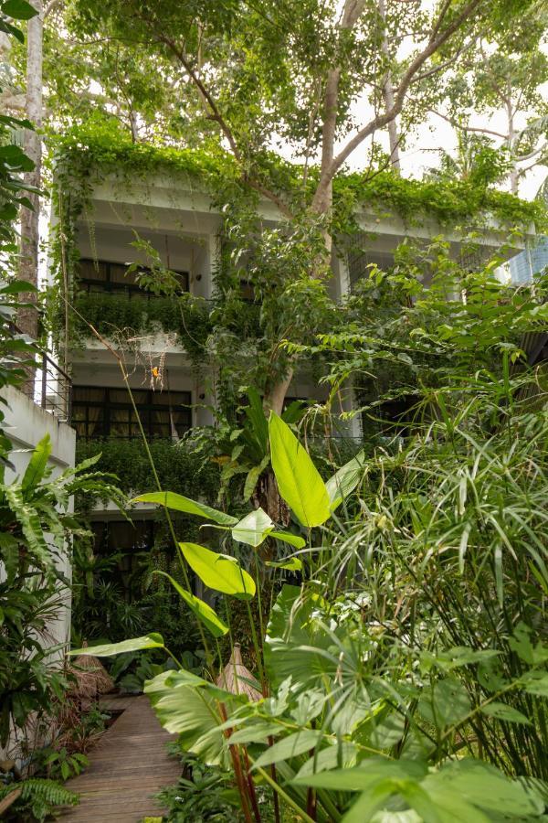 Big Tree Boutique Hotel Koh Tao Exteriör bild