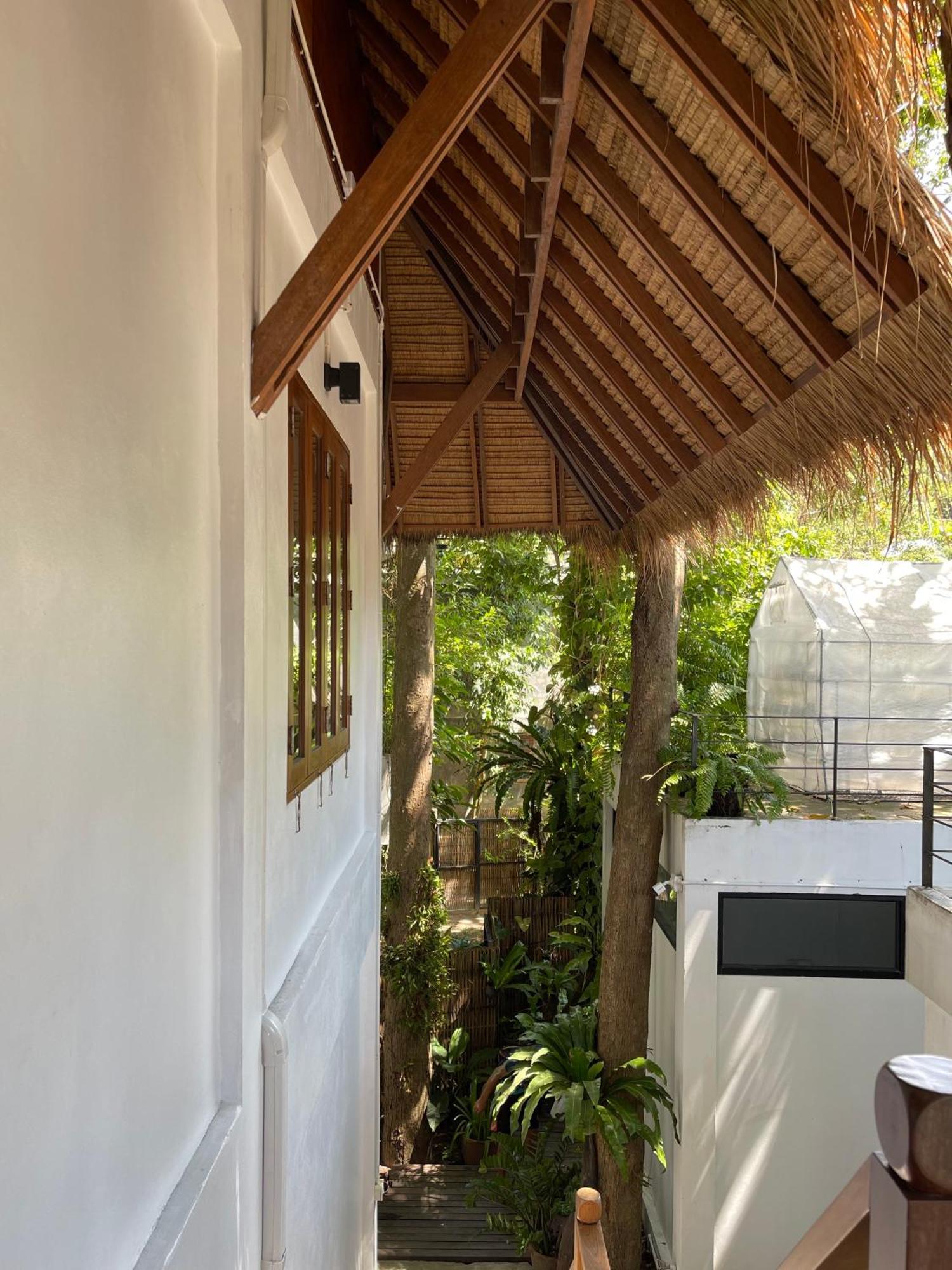 Big Tree Boutique Hotel Koh Tao Exteriör bild