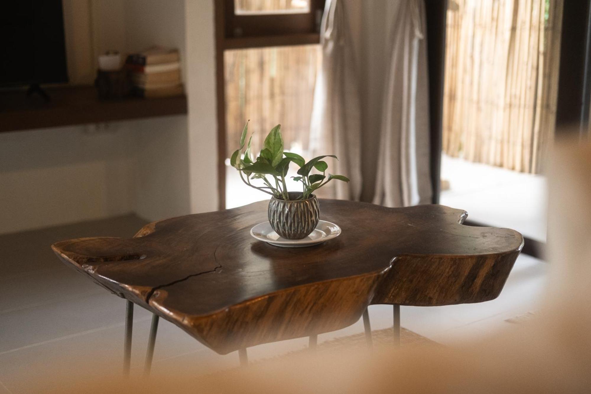 Big Tree Boutique Hotel Koh Tao Exteriör bild